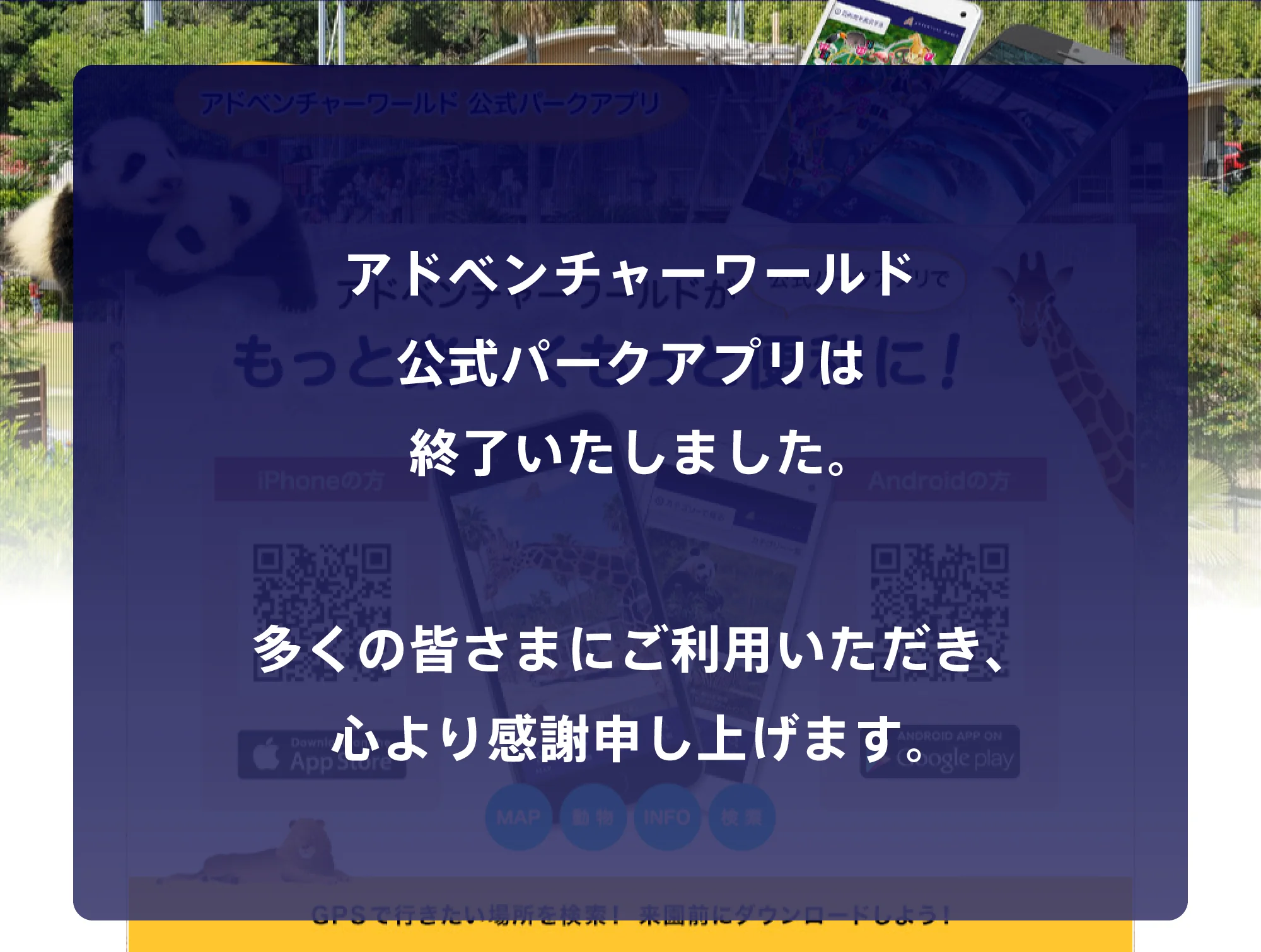 アドベンチャーワールド公式パークアプリは終了いたしました。多くの皆さまにご利用いただき、心より感謝申し上げます。